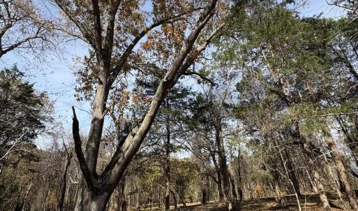 Photo #17 of Parcel B DULWICH DR, AMHERST, VA 21.7 acres