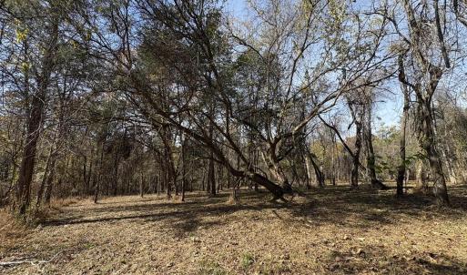 Photo #11 of Parcel B DULWICH DR, AMHERST, VA 21.7 acres