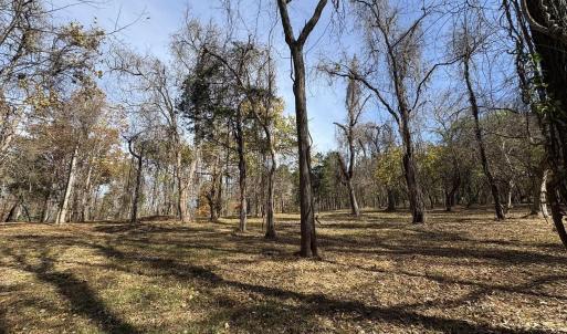 Photo #20 of Parcel B DULWICH DR, AMHERST, VA 21.7 acres