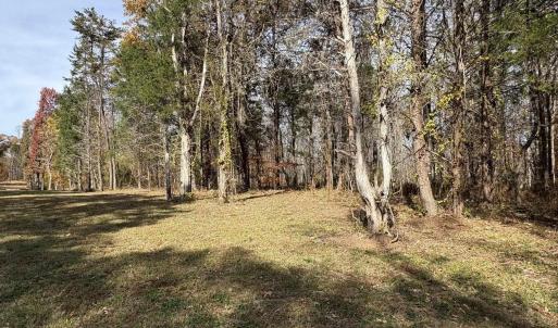 Photo #28 of Parcel B DULWICH DR, AMHERST, VA 21.7 acres