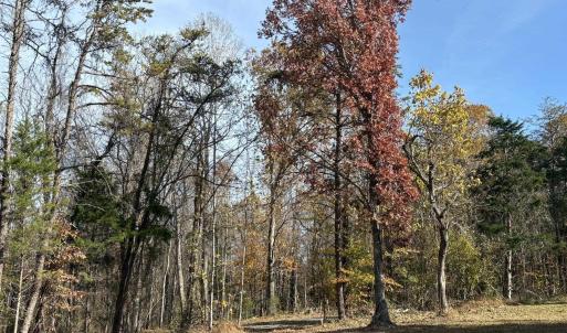 Photo #24 of Parcel B DULWICH DR, AMHERST, VA 21.7 acres