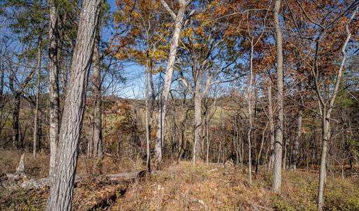 Photo #13 of TBD ROMAN RIDGE RD, MOUNT SIDNEY, VA 5.1 acres