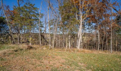 Photo #12 of TBD ROMAN RIDGE RD, MOUNT SIDNEY, VA 5.1 acres