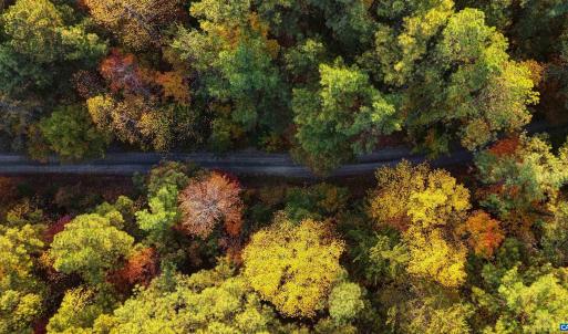 Photo #7 of LOT B LINK EVANS RD, EARLYSVILLE, VA 5.6 acres