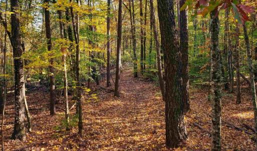 Photo #5 of LOT B LINK EVANS LN, EARLYSVILLE, VA 5.6 acres