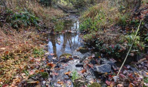 Photo #10 of LOT B LINK EVANS LN, EARLYSVILLE, VA 5.6 acres