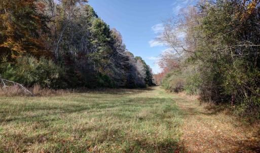 Photo #5 of LOT B LINK EVANS LN, EARLYSVILLE, VA 5.6 acres