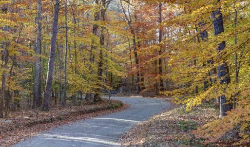 Photo #3 of LOT B LINK EVANS LN, EARLYSVILLE, VA 5.6 acres