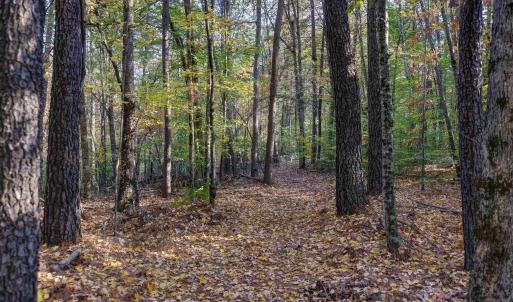 Photo #1 of LOT B LINK EVANS LN, EARLYSVILLE, VA 5.6 acres