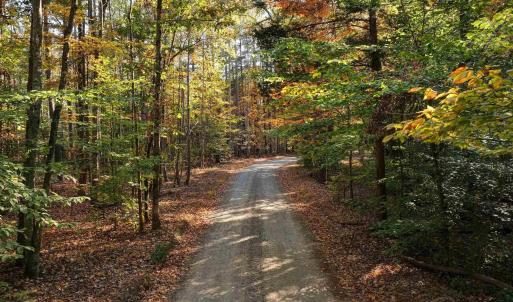 Photo #4 of LOT B LINK EVANS LN, EARLYSVILLE, VA 5.6 acres