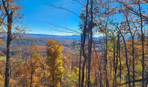 Photo #3 of BIG RIVER RD, GOSHEN, VA 210.0 acres