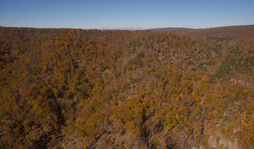 Photo #4 of BIG RIVER RD, GOSHEN, VA 210.0 acres