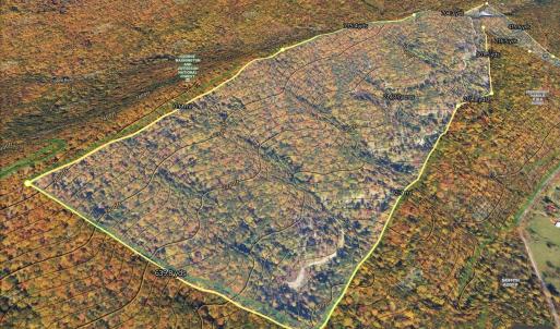 Photo #13 of BIG RIVER RD, GOSHEN, VA 210.0 acres