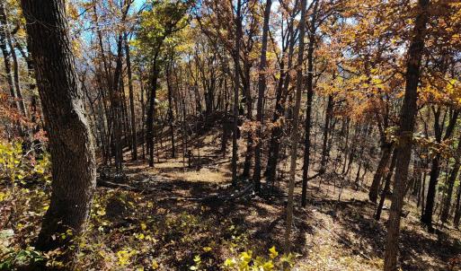 Photo #10 of BIG RIVER RD, GOSHEN, VA 210.0 acres