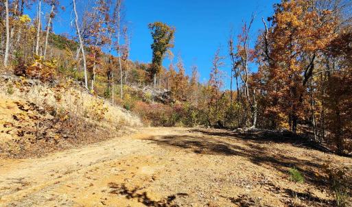 Photo #11 of BIG RIVER RD, GOSHEN, VA 210.0 acres