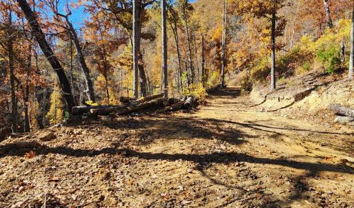 Photo #9 of BIG RIVER RD, GOSHEN, VA 215.0 acres