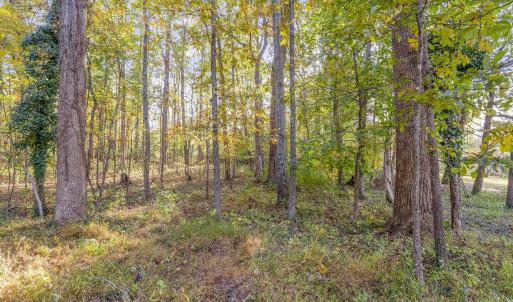 Photo #12 of 5515 - L GORDONSVILLE RD, KESWICK, VA 22.4 acres