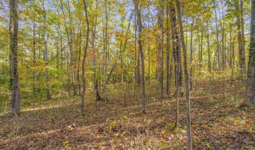 Photo #11 of 5515 - L GORDONSVILLE RD, KESWICK, VA 22.4 acres