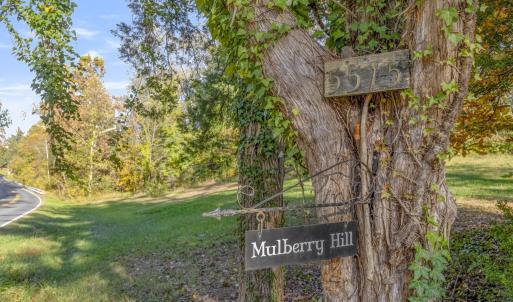 Photo #15 of 5515 - L GORDONSVILLE RD, KESWICK, VA 22.4 acres