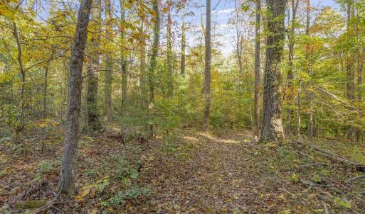 Photo #10 of 5515 - L GORDONSVILLE RD, KESWICK, VA 22.4 acres