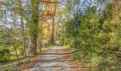 Photo #13 of 5515 - L GORDONSVILLE RD, KESWICK, VA 22.4 acres