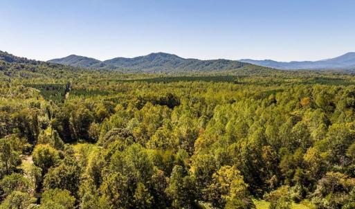 Photo #23 of 722 GREENFIELD MOUNTAIN FARM, AFTON, VA 12.0 acres