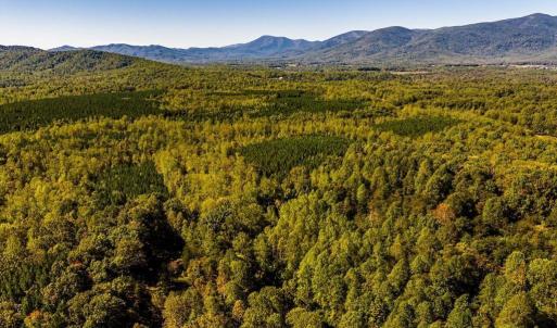 Photo #21 of 722 GREENFIELD MOUNTAIN FARM, AFTON, VA 12.0 acres