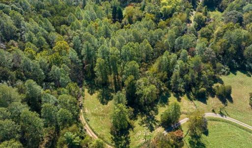 Photo #4 of 722 GREENFIELD MOUNTAIN FARM, AFTON, VA 12.0 acres