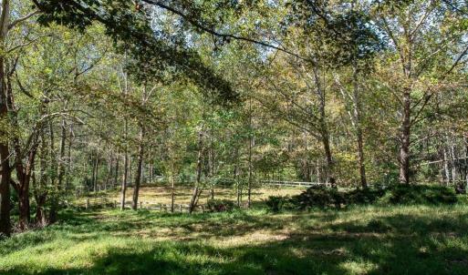 Photo #7 of 722 GREENFIELD MOUNTAIN FARM, AFTON, VA 12.0 acres