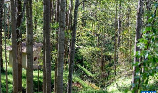 Photo #28 of 722 GREENFIELD MOUNTAIN FARM, AFTON, VA 12.0 acres
