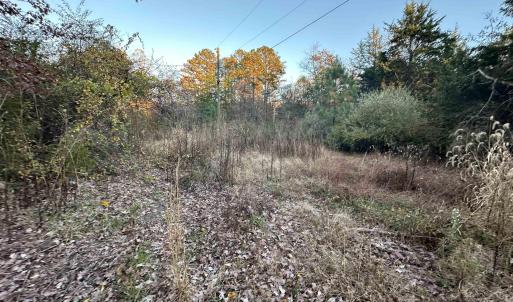 Photo #11 of 3481 SOLITUDE LN, ESMONT, VA 2.5 acres