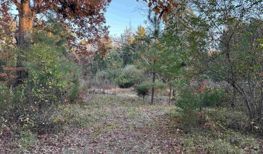 Photo #1 of 3481 SOLITUDE LN, ESMONT, VA 2.5 acres