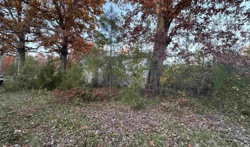 Photo #12 of 3481 SOLITUDE LN, ESMONT, VA 2.5 acres