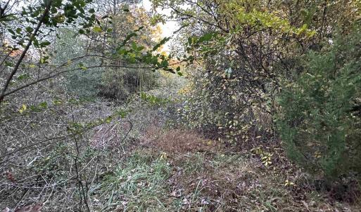 Photo #9 of 3481 SOLITUDE LN, ESMONT, VA 2.5 acres