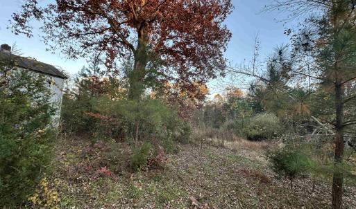 Photo #14 of 3481 SOLITUDE LN, ESMONT, VA 2.5 acres