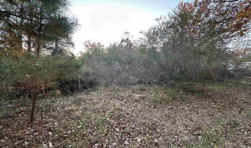 Photo #18 of 3481 SOLITUDE LN, ESMONT, VA 2.5 acres