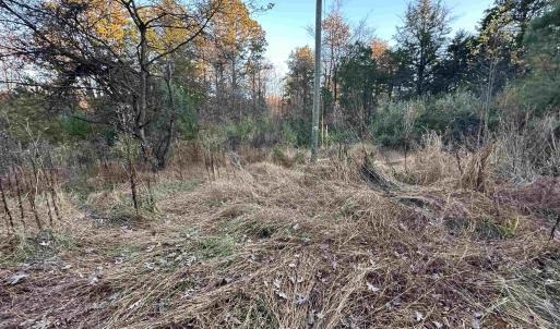 Photo #10 of 3481 SOLITUDE LN, ESMONT, VA 2.5 acres