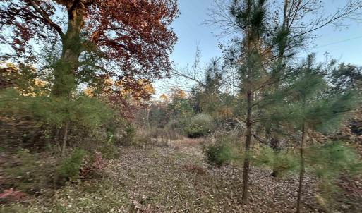 Photo #15 of 3481 SOLITUDE LN, ESMONT, VA 2.5 acres