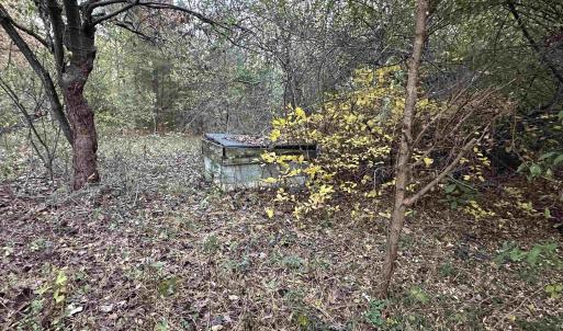 Photo #3 of 3481 SOLITUDE LN, ESMONT, VA 2.5 acres