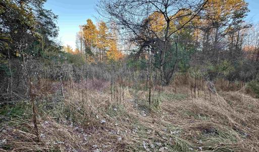 Photo #21 of 3481 SOLITUDE LN, ESMONT, VA 2.5 acres