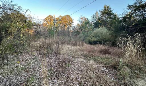 Photo #17 of 3481 SOLITUDE LN, ESMONT, VA 2.5 acres