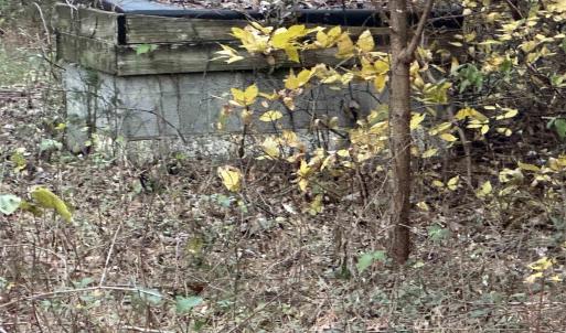 Photo #6 of 3481 SOLITUDE LN, ESMONT, VA 2.5 acres