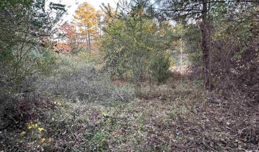 Photo #8 of 3481 SOLITUDE LN, ESMONT, VA 2.5 acres