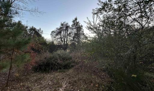 Photo #19 of 3481 SOLITUDE LN, ESMONT, VA 2.5 acres