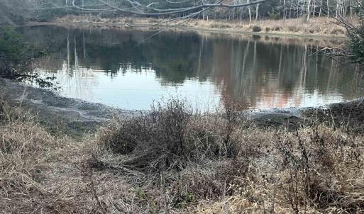 Photo #2 of MITCHELL FORD RD, LIGNUM, VA 96.5 acres