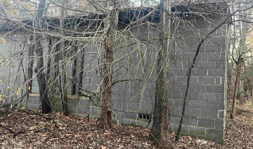 Photo #15 of MITCHELL FORD RD, LIGNUM, VA 96.5 acres