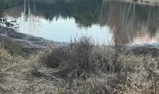 Photo #7 of MITCHELL FORD RD, LIGNUM, VA 96.5 acres