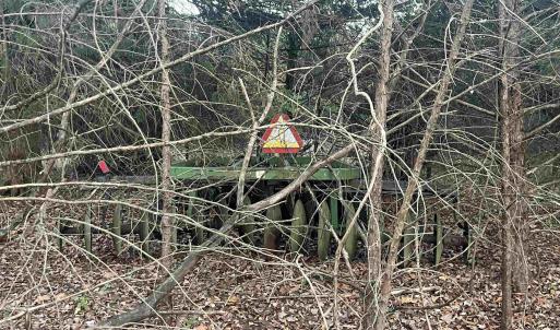 Photo #11 of MITCHELL FORD RD, LIGNUM, VA 96.5 acres