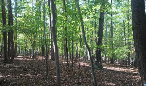 Photo #13 of OAKCREST LN, NELLYSFORD, VA 7.9 acres