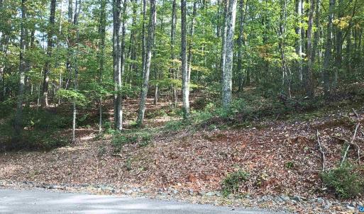 Photo #19 of OAKCREST LN, NELLYSFORD, VA 7.9 acres